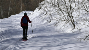 ITINERARIO SALUTE E NATURA