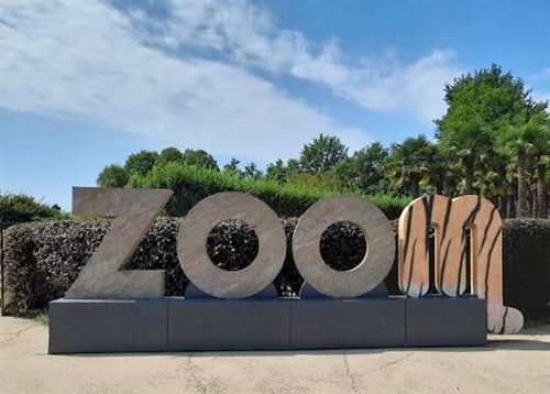 Ingresso serale gratuito al Bioparco Zoom per i cittadini residenti