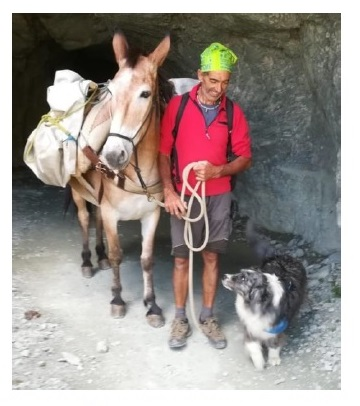 FESTIVAL ALEPS ANDES: venerdi 17 e sabato 18 ottobre a Rora’ per miglioramenti relazionali e forestali, tramite antiche tecniche di esbosco con l’ausilio di muli